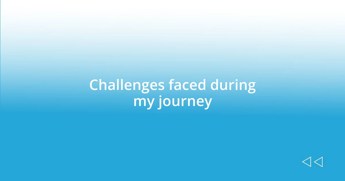 Challenges faced during my journey